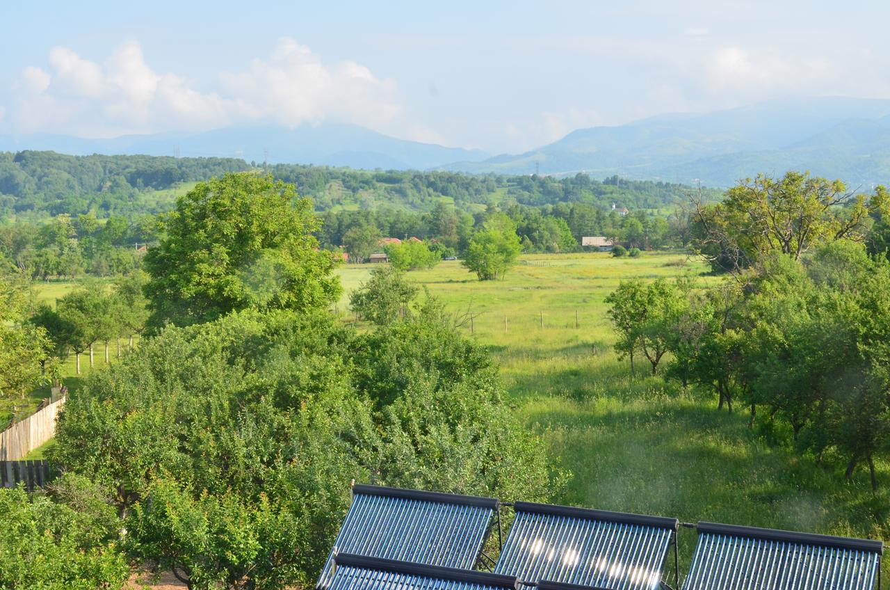 Pensiunea Koruna Poenari Extérieur photo